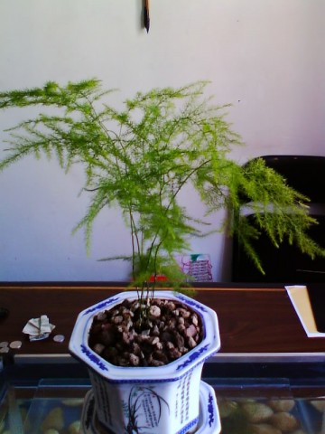 IMG0680A.jpg