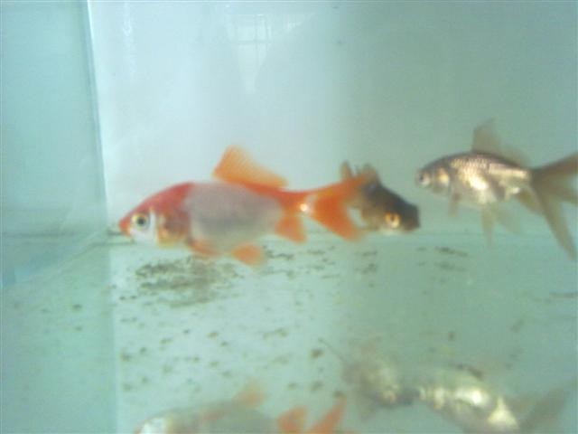 20110412978.jpg