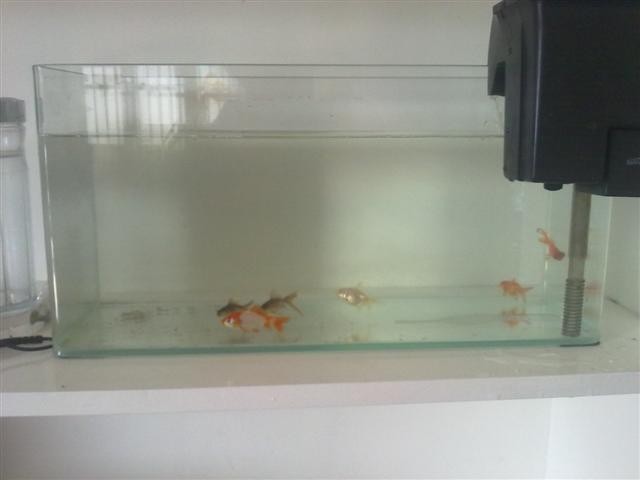 20110412977.jpg