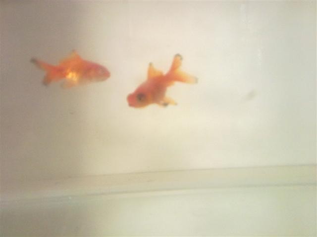 20110412979.jpg