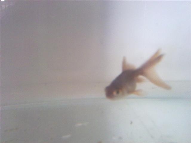 20110412980.jpg