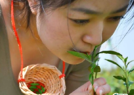 c55555555.jpg