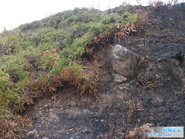 两重天8.JPG