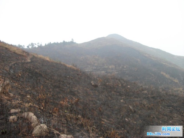 峰在前方12.JPG