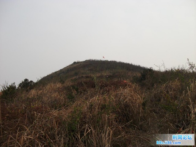 红旗16.JPG