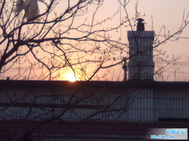 20110413049.jpg