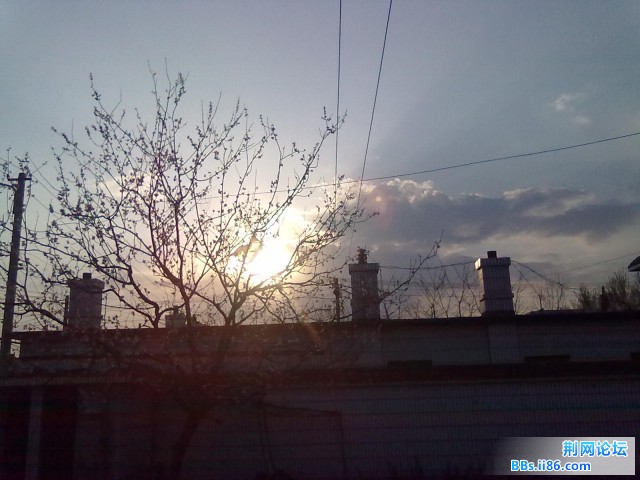 20110422066.jpg