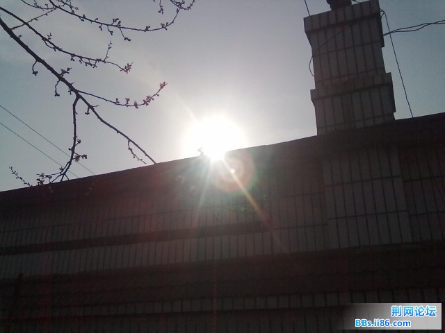 20110413046.jpg