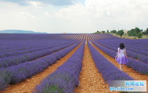 20100707092716605.jpg