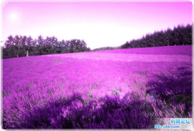 d1bc3adf94c1f17ccdbf1a79.jpg