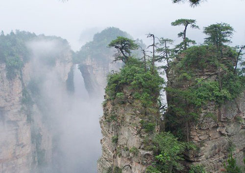 金龙山