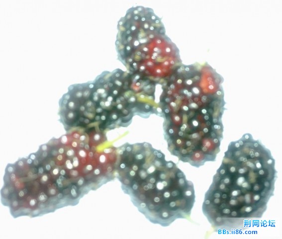 未命名.jpg