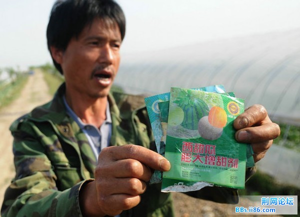 xiguakailie2.jpg