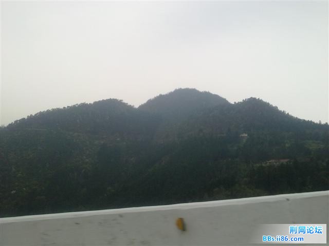20110415995.JPG