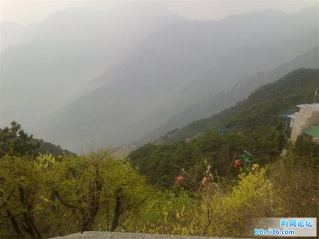 201104151027.JPG