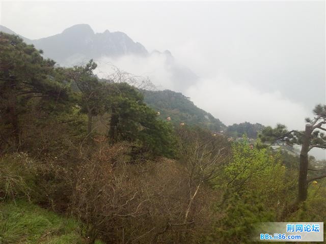 201104151032.JPG