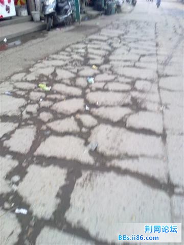 201105111112.JPG