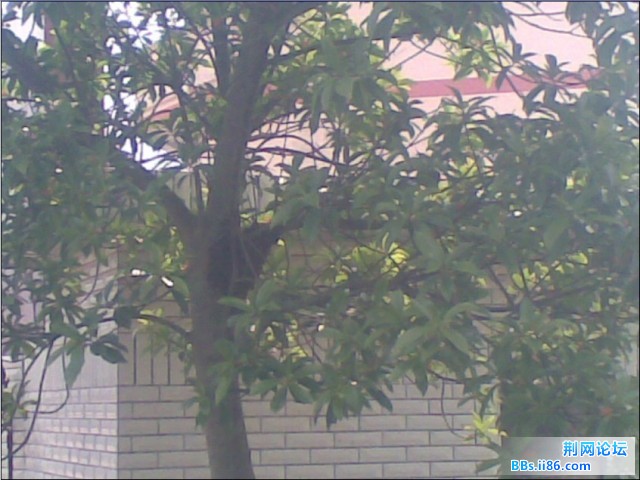 未命名3.jpg