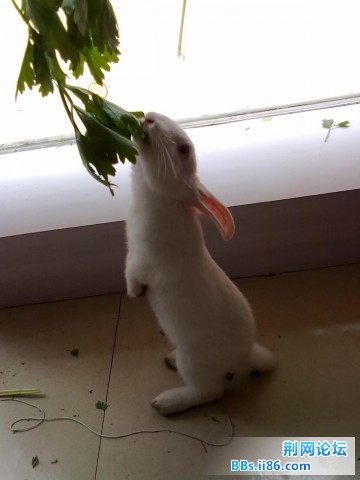 20110508140.jpg