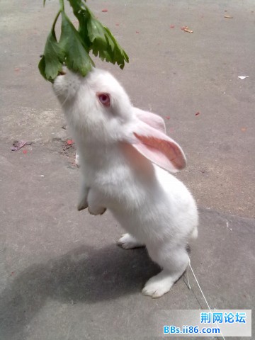 20110508141.jpg