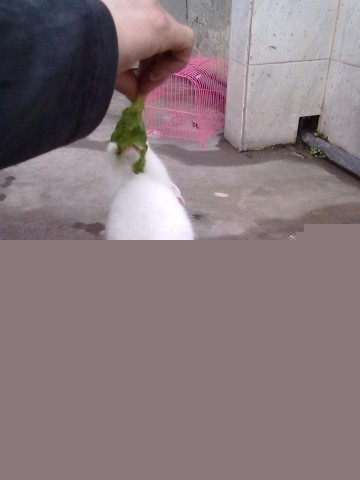 20110509176.jpg
