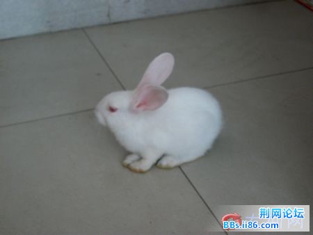 131120zg0u6du02uudnnzn.jpg