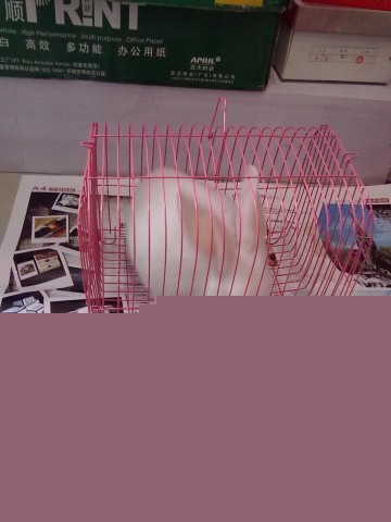 20110504095.jpg
