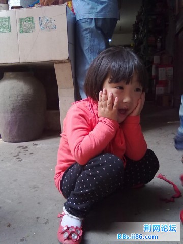 20110105859.jpg