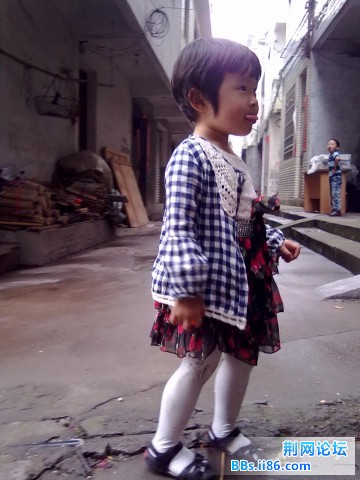20110106878.jpg