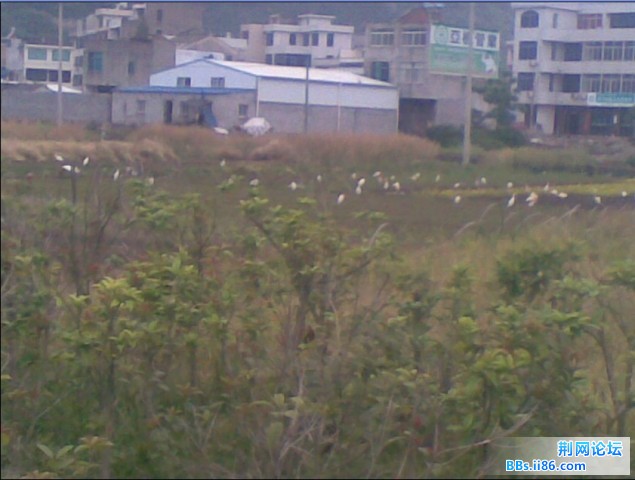 未命名2.jpg