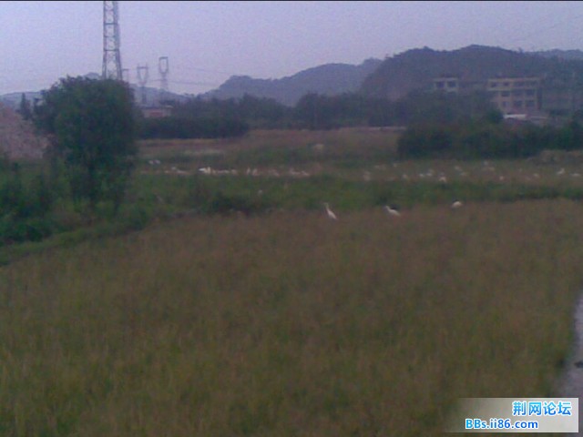 未命名3.jpg