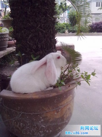20110525224.jpg