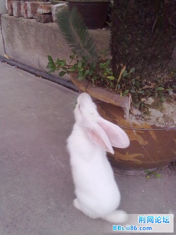 20110525219.jpg