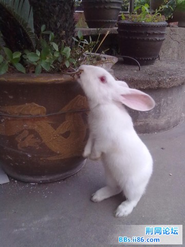 20110525220.jpg