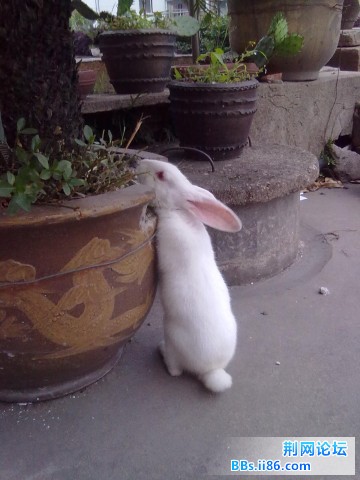 20110525221.jpg