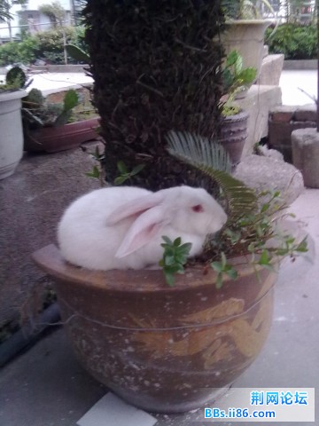 20110525222.jpg