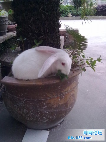 20110525223.jpg