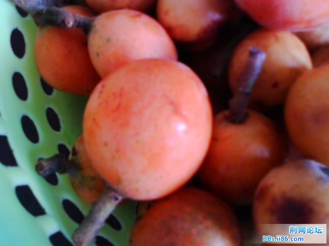 IMG0789A.jpg