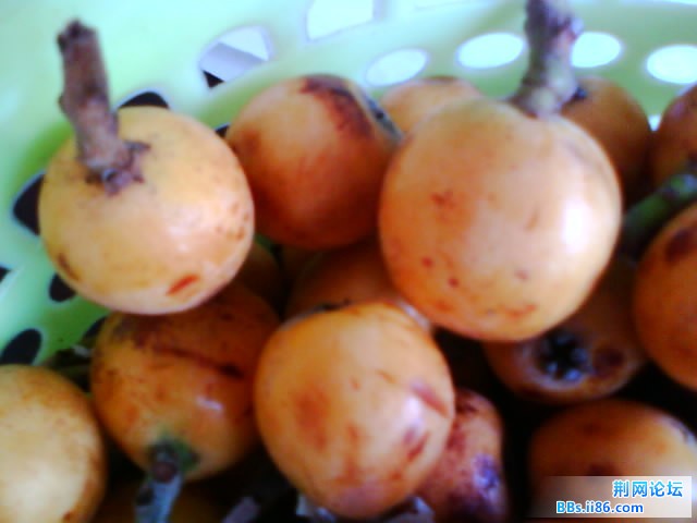 IMG0790A.jpg