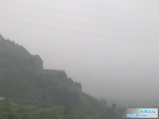 20110604208.jpg