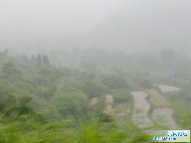 20110604212.jpg