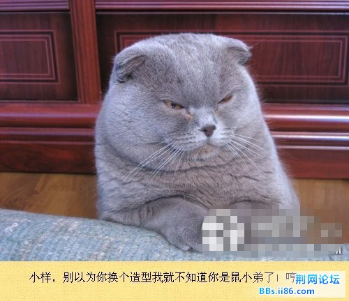 未命名10.jpg