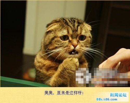 未命名14.jpg