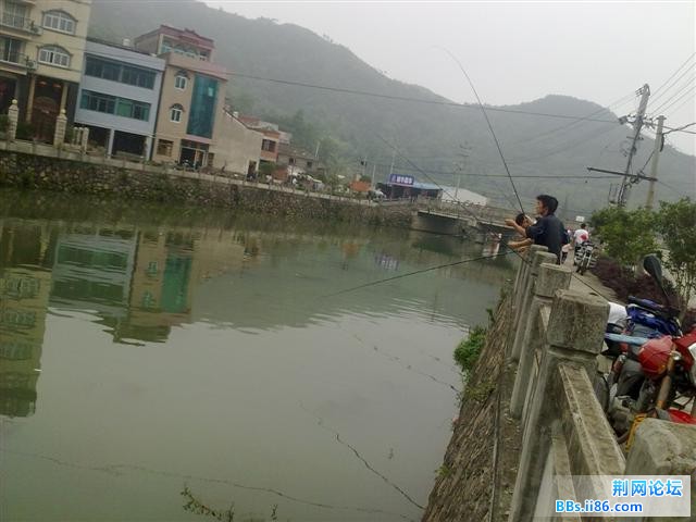 20110606029.jpg