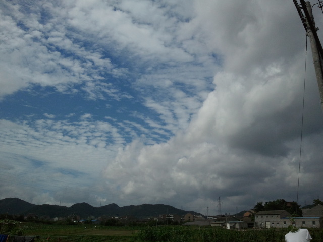 2011-06-23 09.02.22.jpg