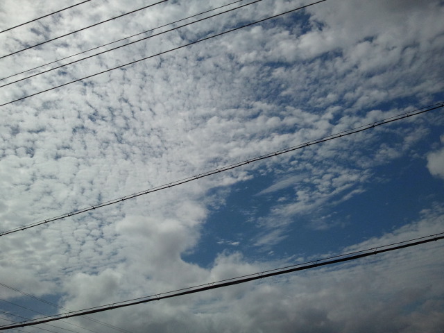 2011-06-23 09.06.13.jpg