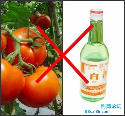 p_large_uWiD_460d0009ce505c42.jpg