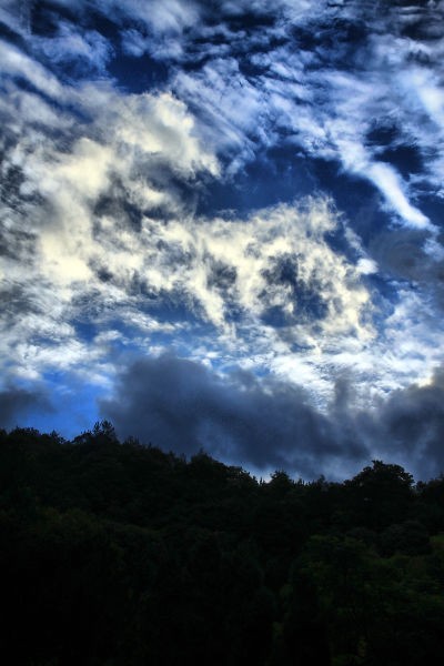 IMG_4517.JPG