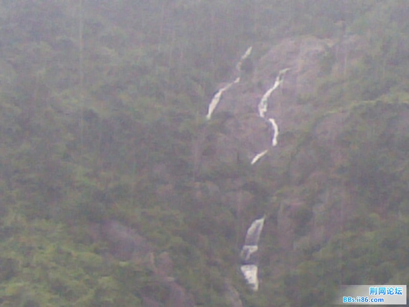 20110629.jpg