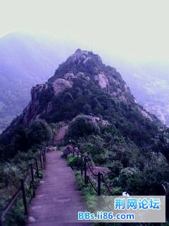后山小道